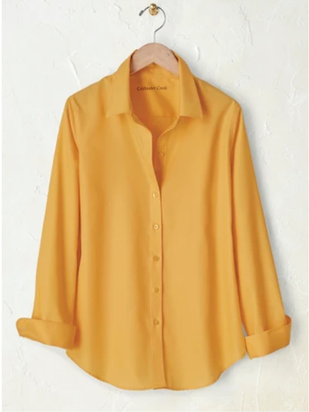 Coldwater Creek No-Iron Long Sleeve Shirt